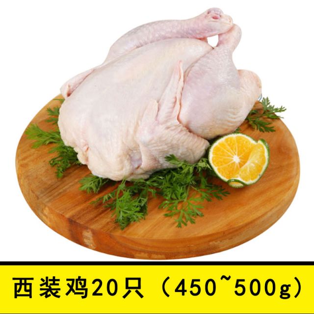 西装鸡整只童子鸡 20只/箱
